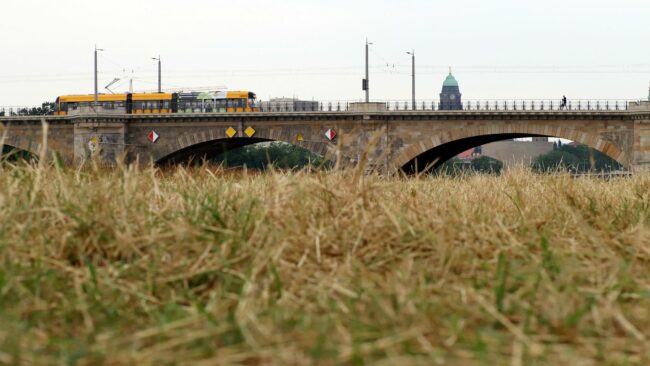 Hier auf der Wiese wurde der sogenannte Langschnitt eingesetzt, heißt, die Stopeln der Wiese bleiben etwas länger.