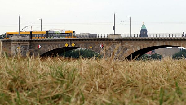 Hier auf der Wiese wurde der sogenannte Langschnitt eingesetzt, heißt, die Stopeln der Wiese bleiben etwas länger.