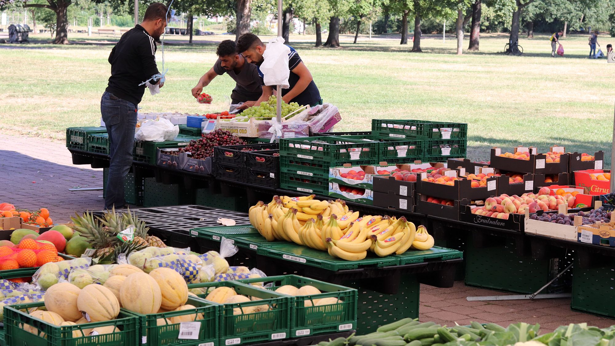 Marktstand auf dem Alaunplatz