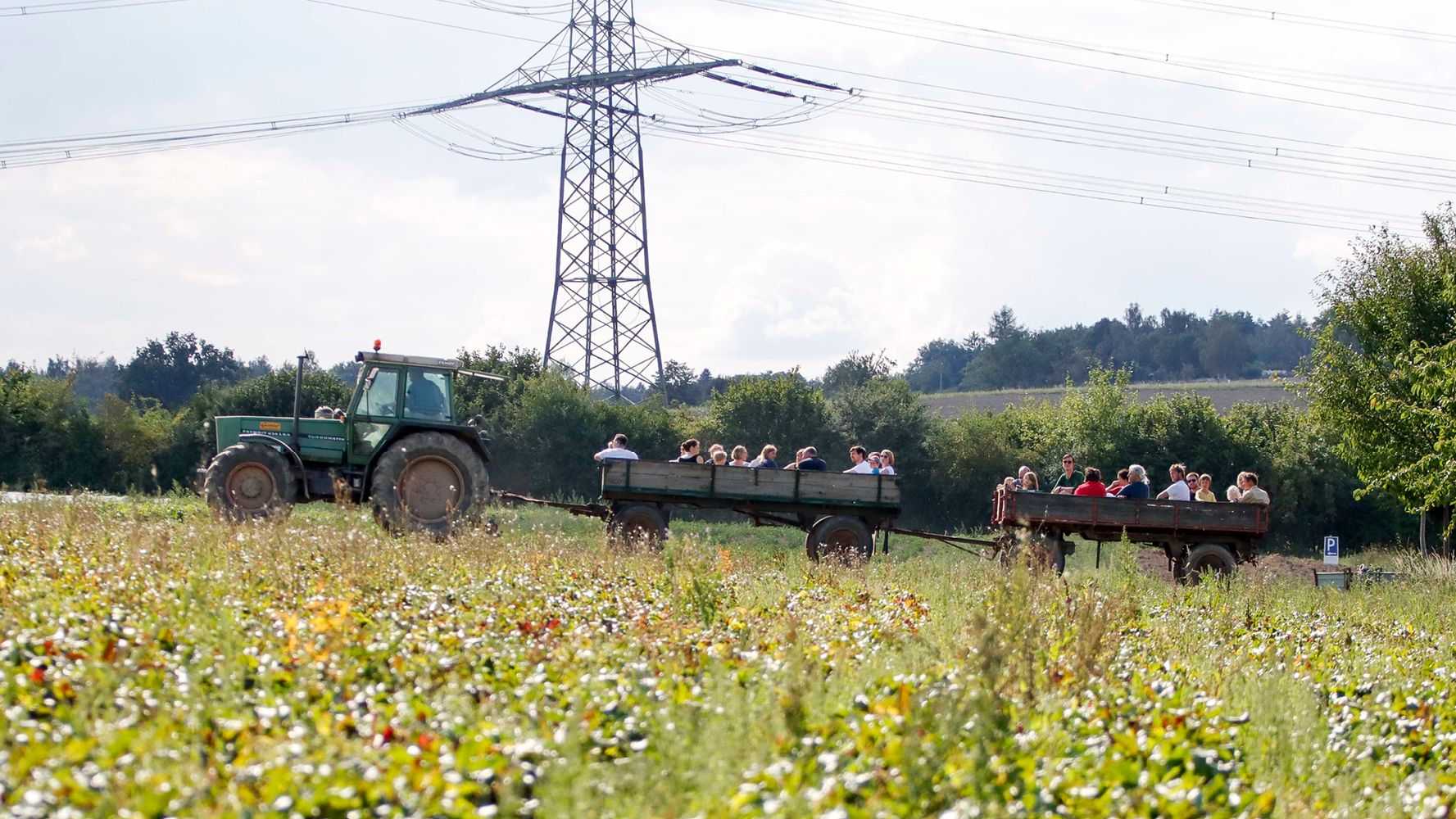 Hoffeste und Kremserfahrten im Rahmen der Bioerlebnistage