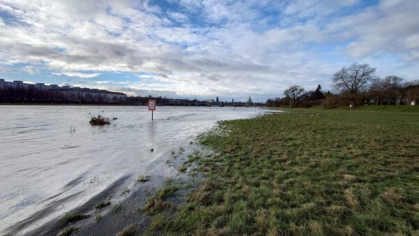 Heute Vormittag schwepperte die Elbe schon wieder weit über die Wiesen. Inzwischen ist der Pegel um weitere 30 Zentimeter gestiegen.