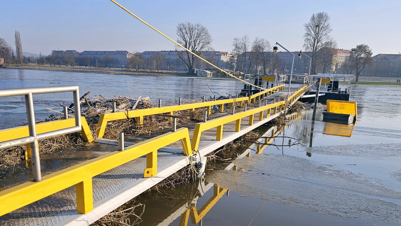 Spätestens am Mittwoch soll die Fährverbindung in die Johannstadt wieder funktionieren. Foto: DVB