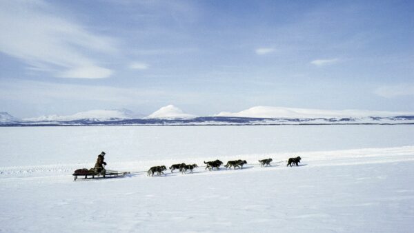 Schlittenhunderennen von Esso in Kamtschatka nach Markowo in Tschukotka im fernen Osten Russlands: Leon Omytgewau bei Ossora auf der 11. Etappe von Kararaga nach Timlat (58 km) 21. März 1992 - Foto: Jan Oelker
