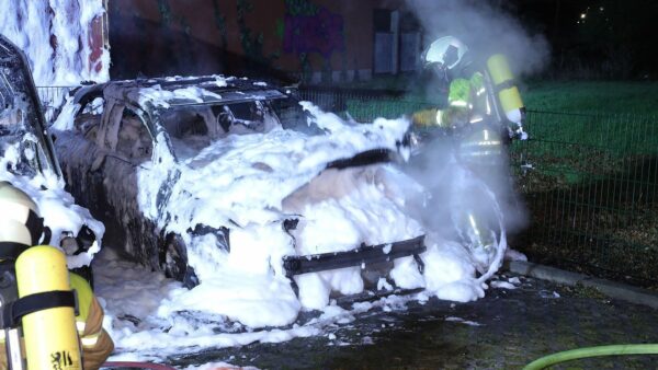 Drei Autos sind in der Nacht vom Donnerstag zum Freitag auf der Bärnsdorfer Straße komplett ausgebrannt. Foto: Roland Halkasch