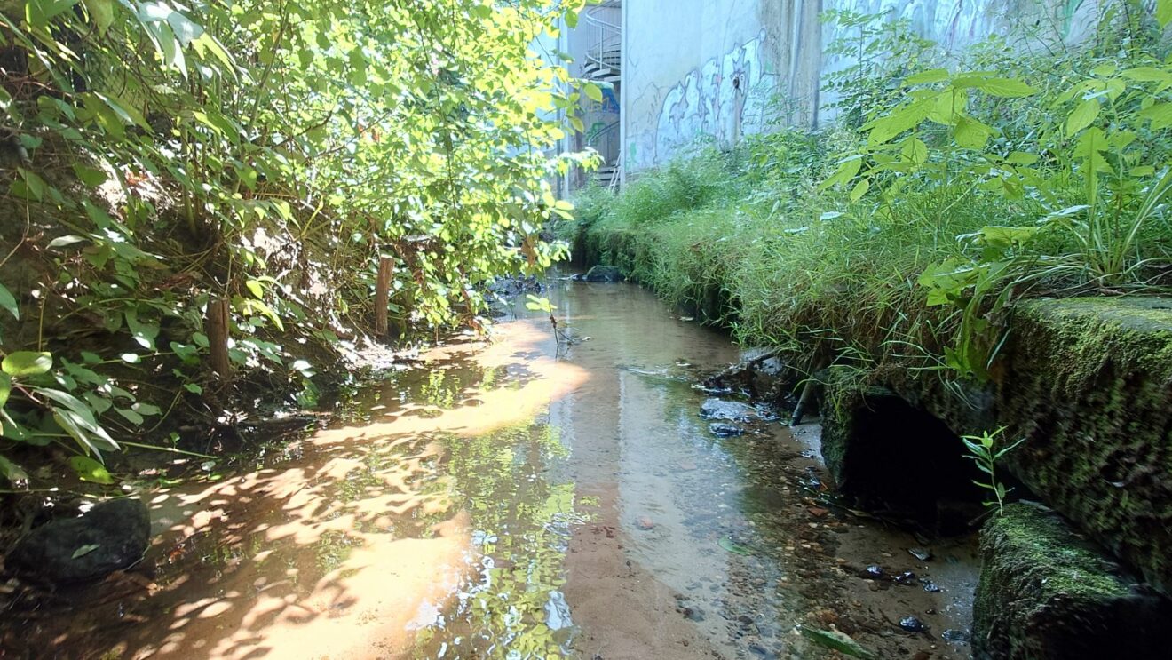 Die Stadt hat ein Wasser-Entnahme-Verbot verhängt. Foto: Anton Launer
