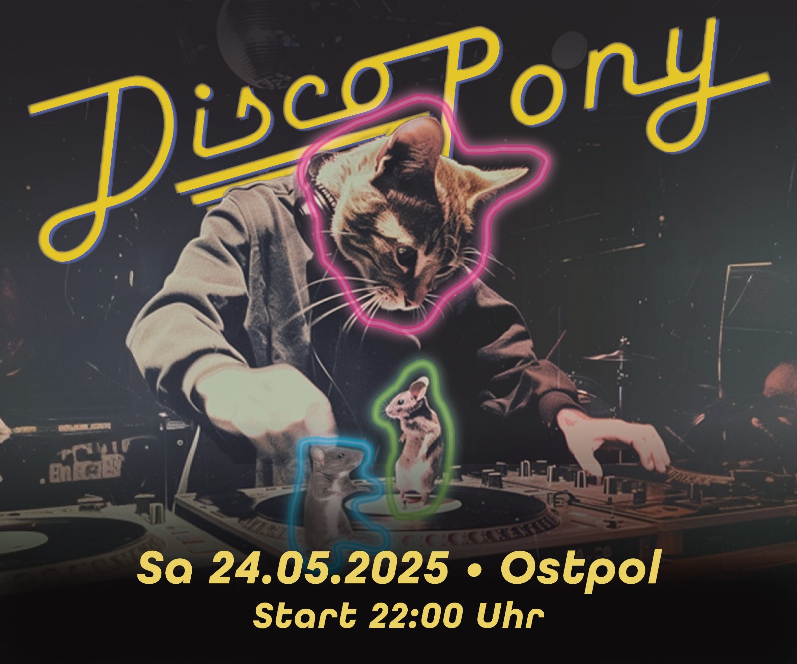 Discopony im Ostpol
