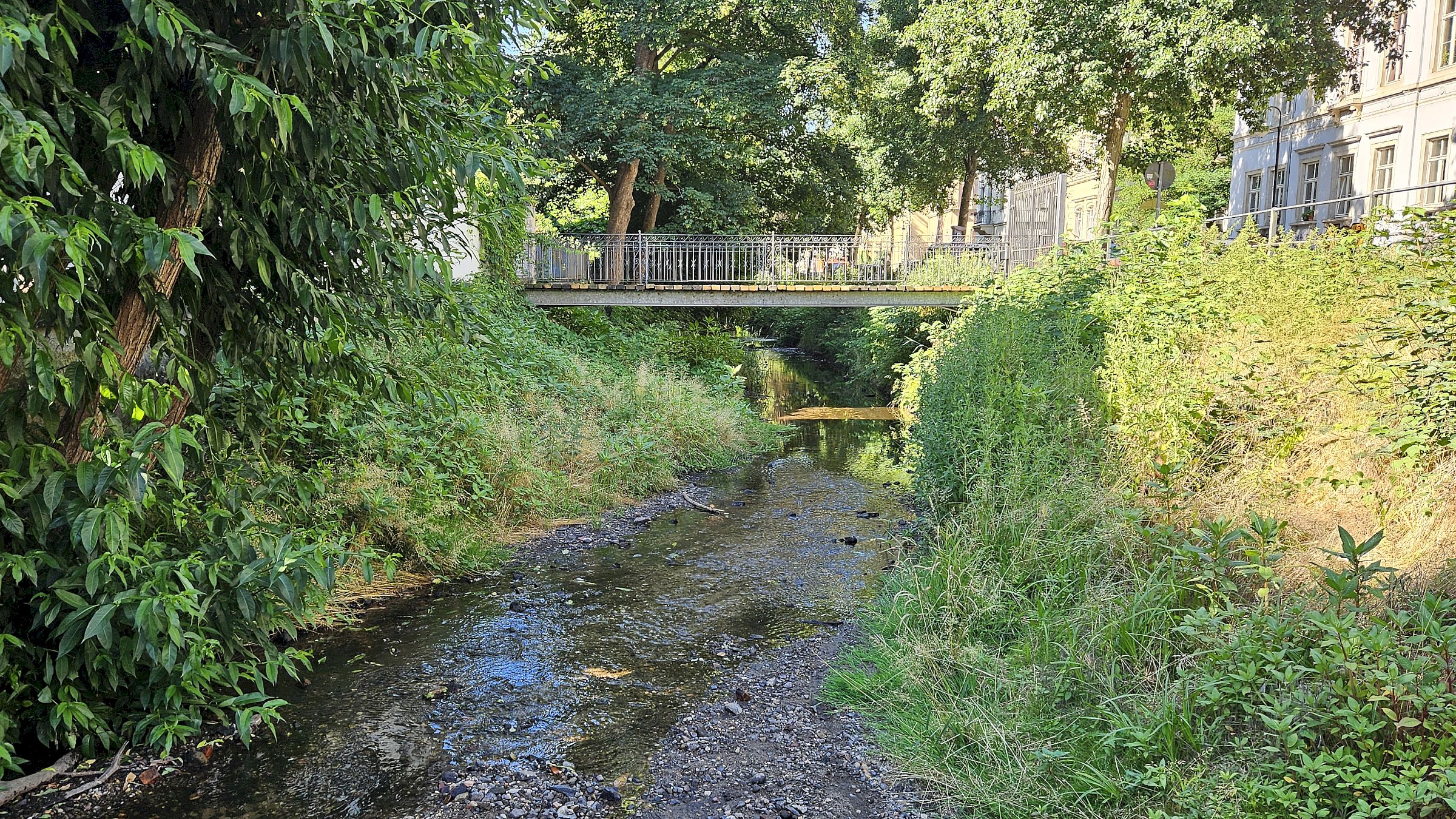 Wasserentnahme aus Dresdner Gewässern ab Juli untersagt Spärlich zwar, aber noch fließt das Bächlein. Foto: Anton Launer