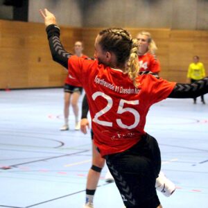 Mit einem 28:25-Sieg melden sich die Sporties wieder zurück. Foto: Sportfreunde 01