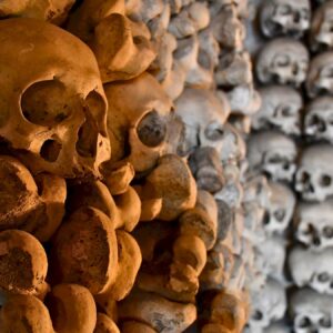 „Memento Mori“: Kunst im Dialog zwischen Polen und Deutschland Geflüster der Vergessenen - Foto: Hanna Krezlewska