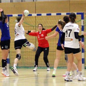 28 Treffer konnten die Sportis im Klotzscher Kasten versenken. Foto: Sportfreunde 01