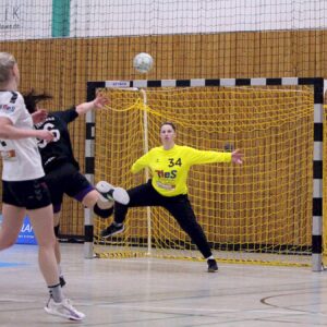 Die Defensive der Sportis konnte den Angriffen der Plauenerinnen nicht standhalten. Foto: Sportfreunde 01