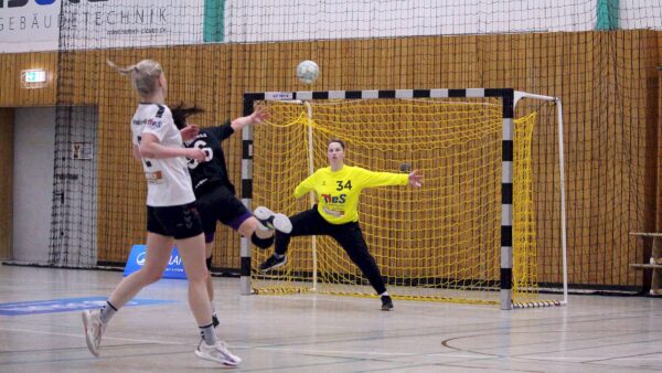 Die Defensive der Sportis konnte den Angriffen der Plauenerinnen nicht standhalten. Foto: Sportfreunde 01