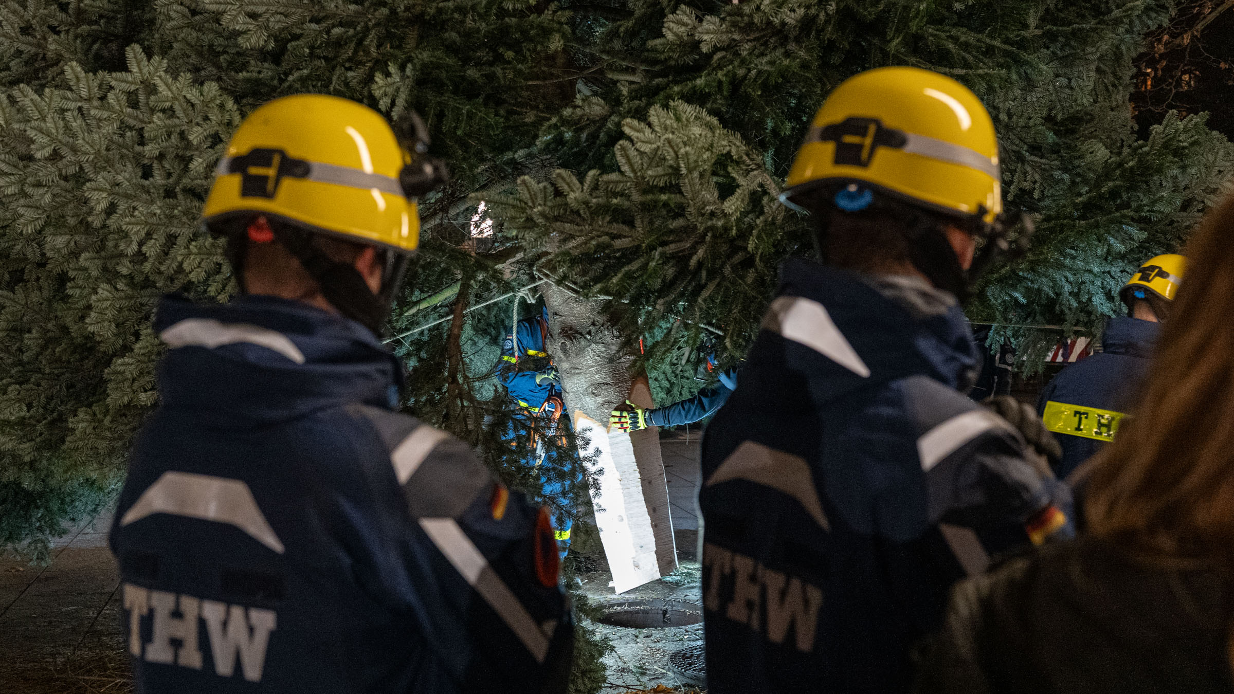 Das zugespitzte Ende der Tanne wird in die Bodenhülse manövriert. Foto: Sebastian Diehl