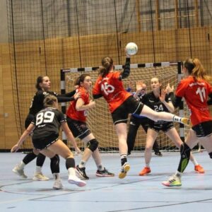 Gegen die starke Offensive hatten die Handballerinnen aus Crimmitschau keine Chance - Foto: Sportfreunde 01