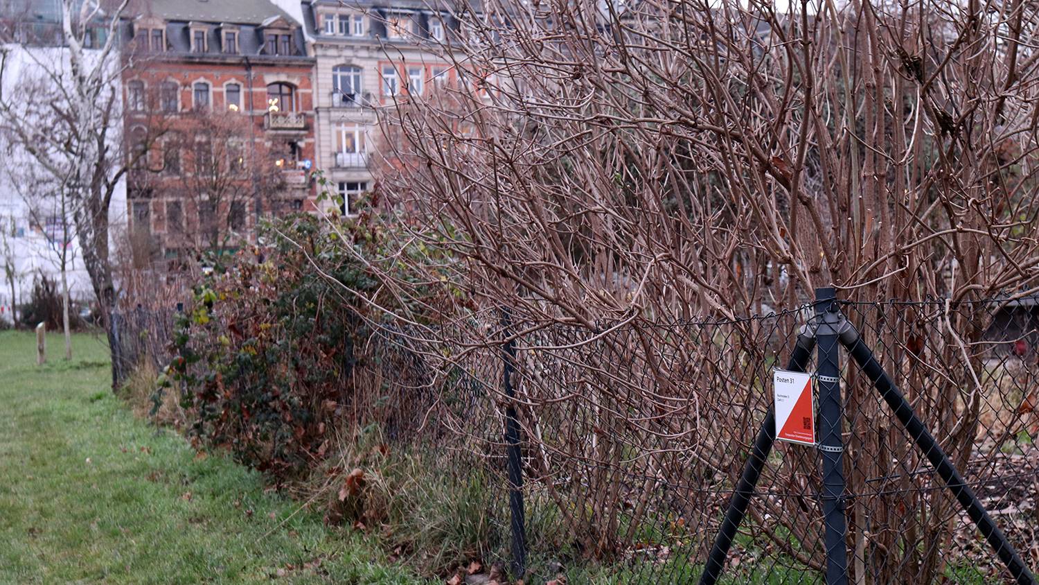 Einer von sieben Postenstandorten auf dem Alaunplatz. Foto: Daniel Härtelt