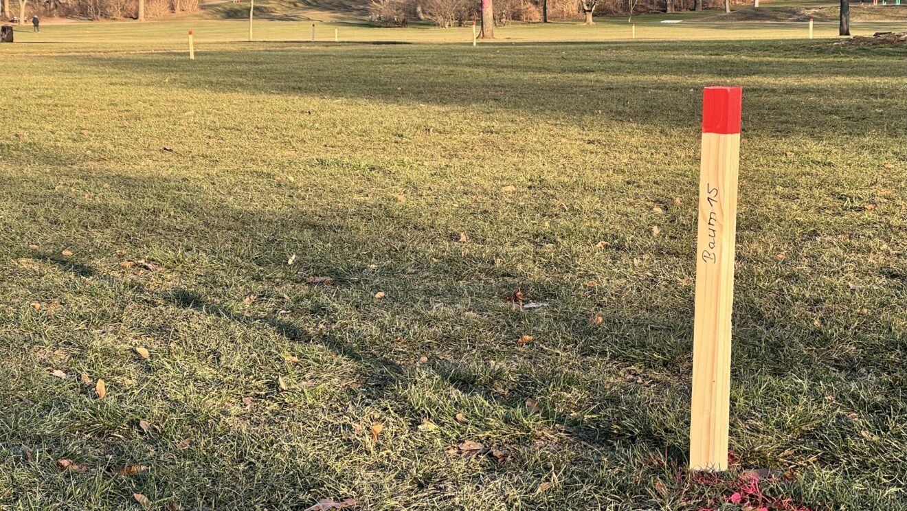 XXL-Streichholz als Baummarkierung - Foto: Enna Miau