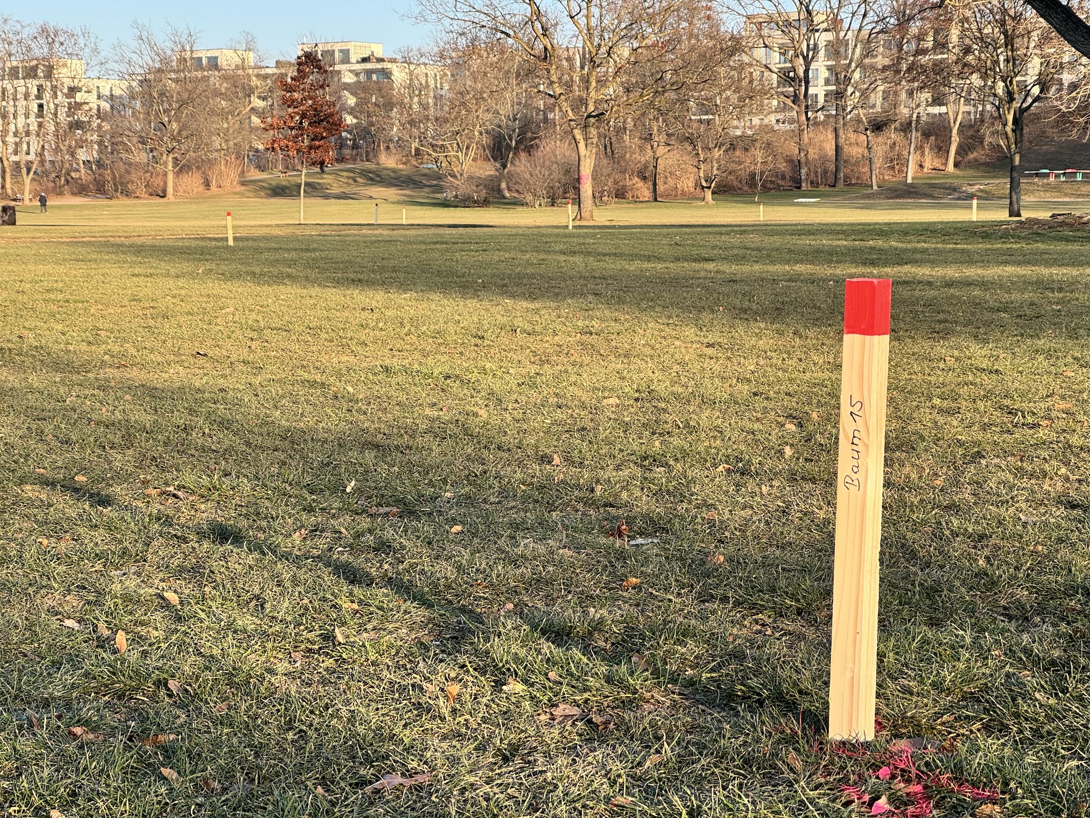 XXL-Streichholz als Baummarkierung - Foto: Enna Miau
