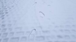 Spuren im Schnee führten zu Tatverdächtigen Spuren im Schnee - Symbolbild - Foto: Anton Launer
