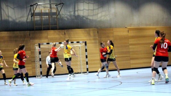 In einem umkämpften Spiel konnten sich die Sportis am Ende durchsetzen. Foto: Sportfreunde 01