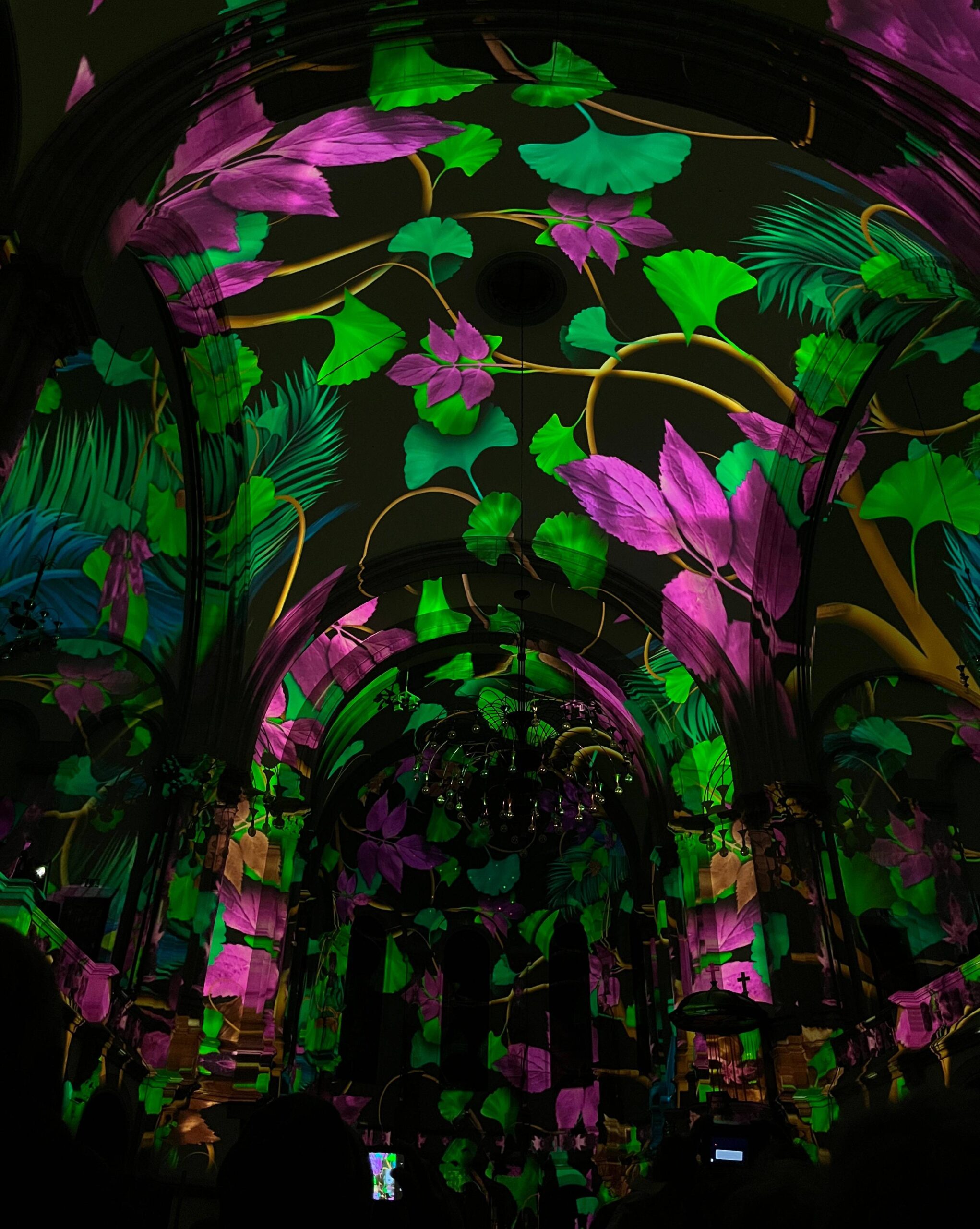 Florales Motiv aus "Genesis" - Foto: Lea Pfau