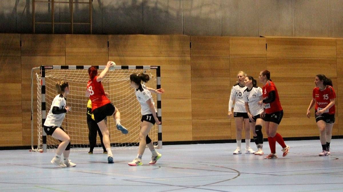 Die Handballerinnen der Sportfreunde mussten sich mit einer knappen Niederlage gegen Klotzsche geschlagen geben. Foto: Sportfreunde 01