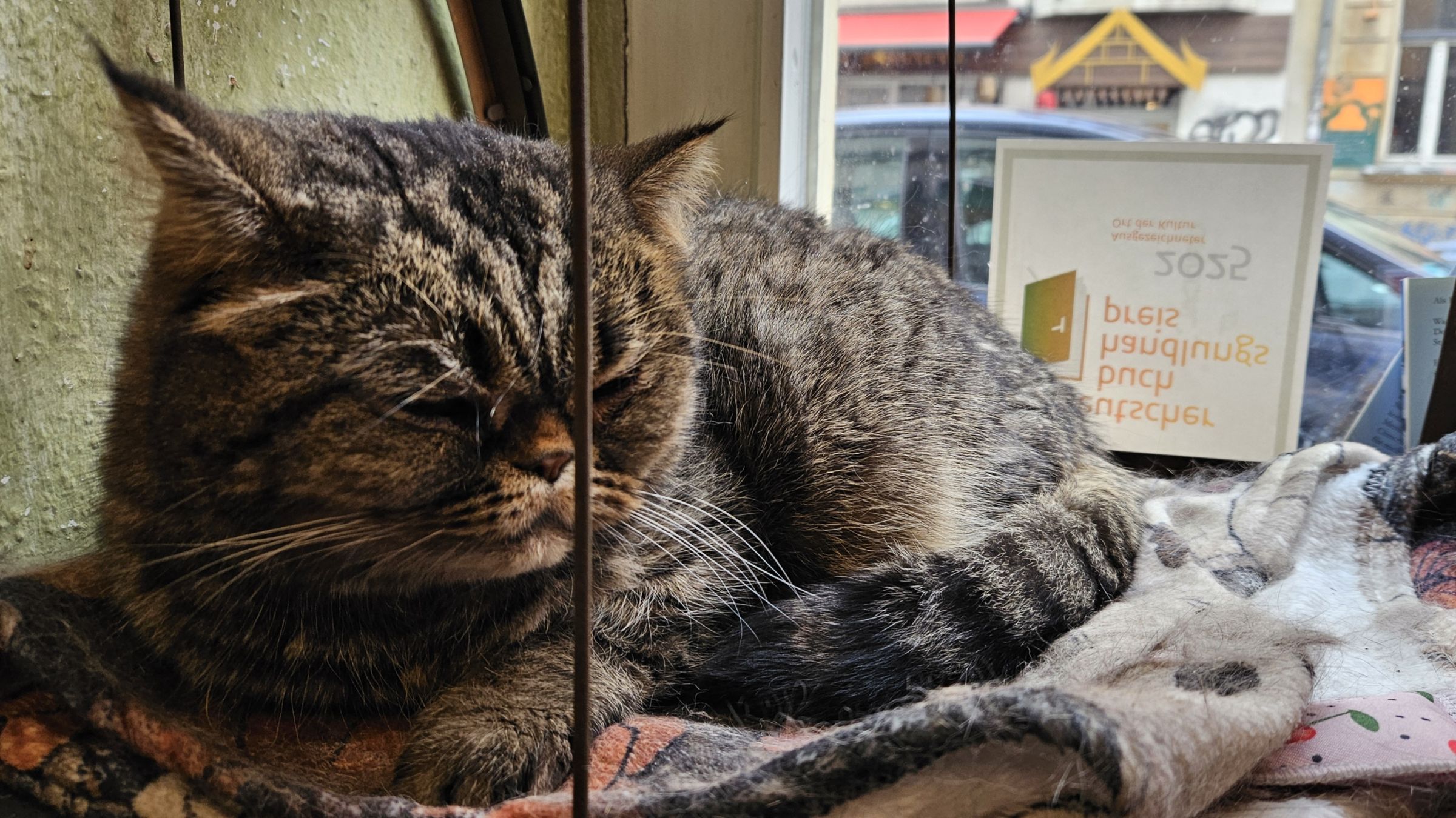 Die eigentliche Herrin des Ladens Liv Isis Nagori wollte nicht mit aufs Teambild. Foto: Anton Launer