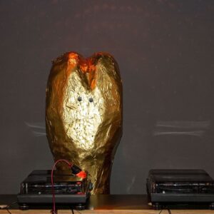 DJ "Golden Bone" - Foto: Dogs, Bones & Catering