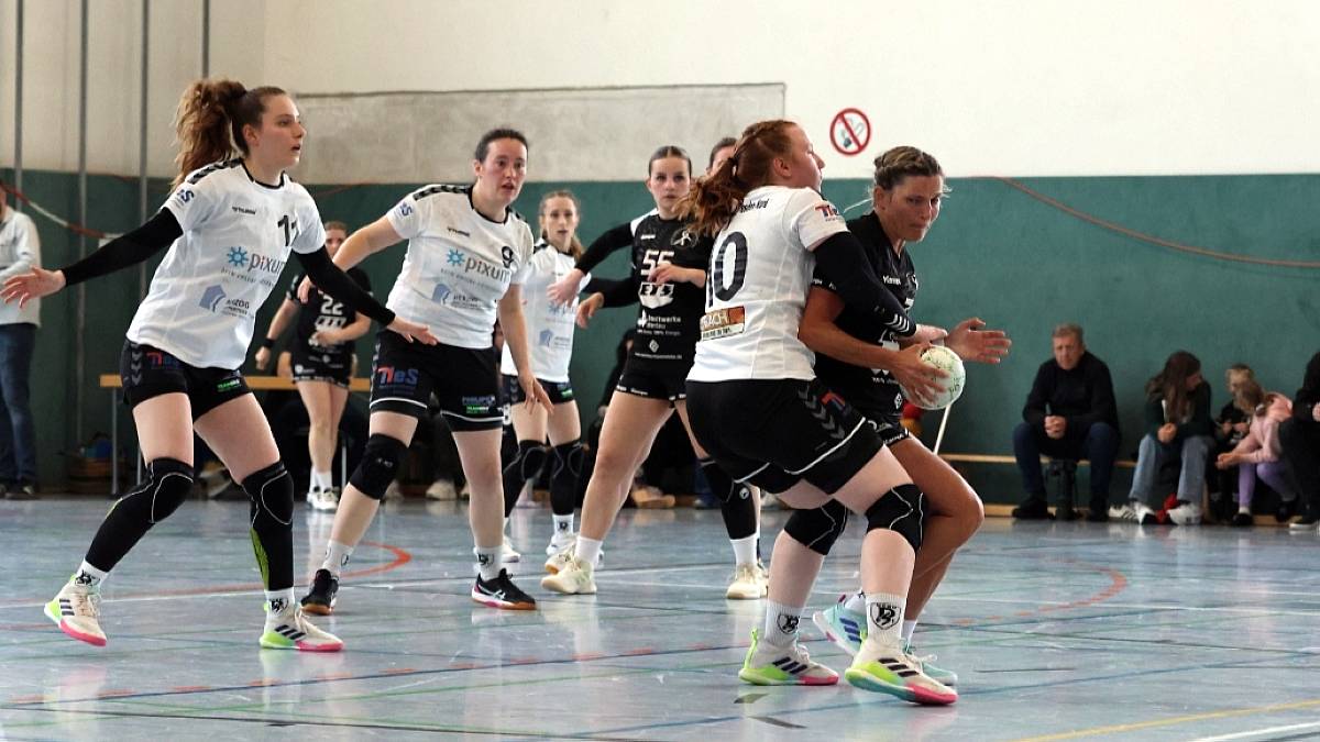 Vor allem über die Halbpositionen fanden die Sportis immer wieder die Lücke. Foto: Sportfreunde01 Dresden Nord