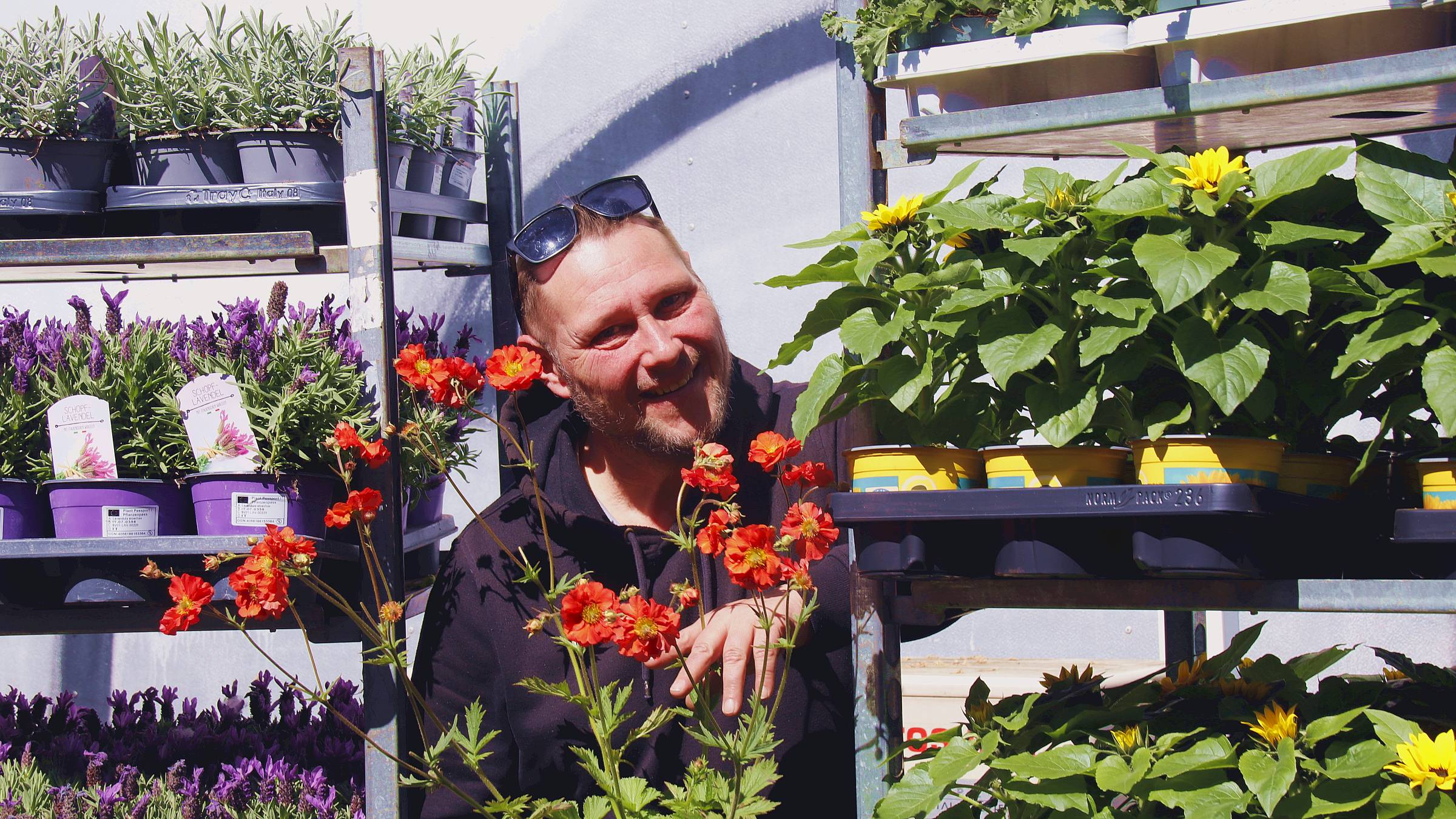 Hat wieder unzählige Pflanzen und Kräuter aufgefahren - Kräuterhexe Sven Hellmich - Foto: Anton Launer