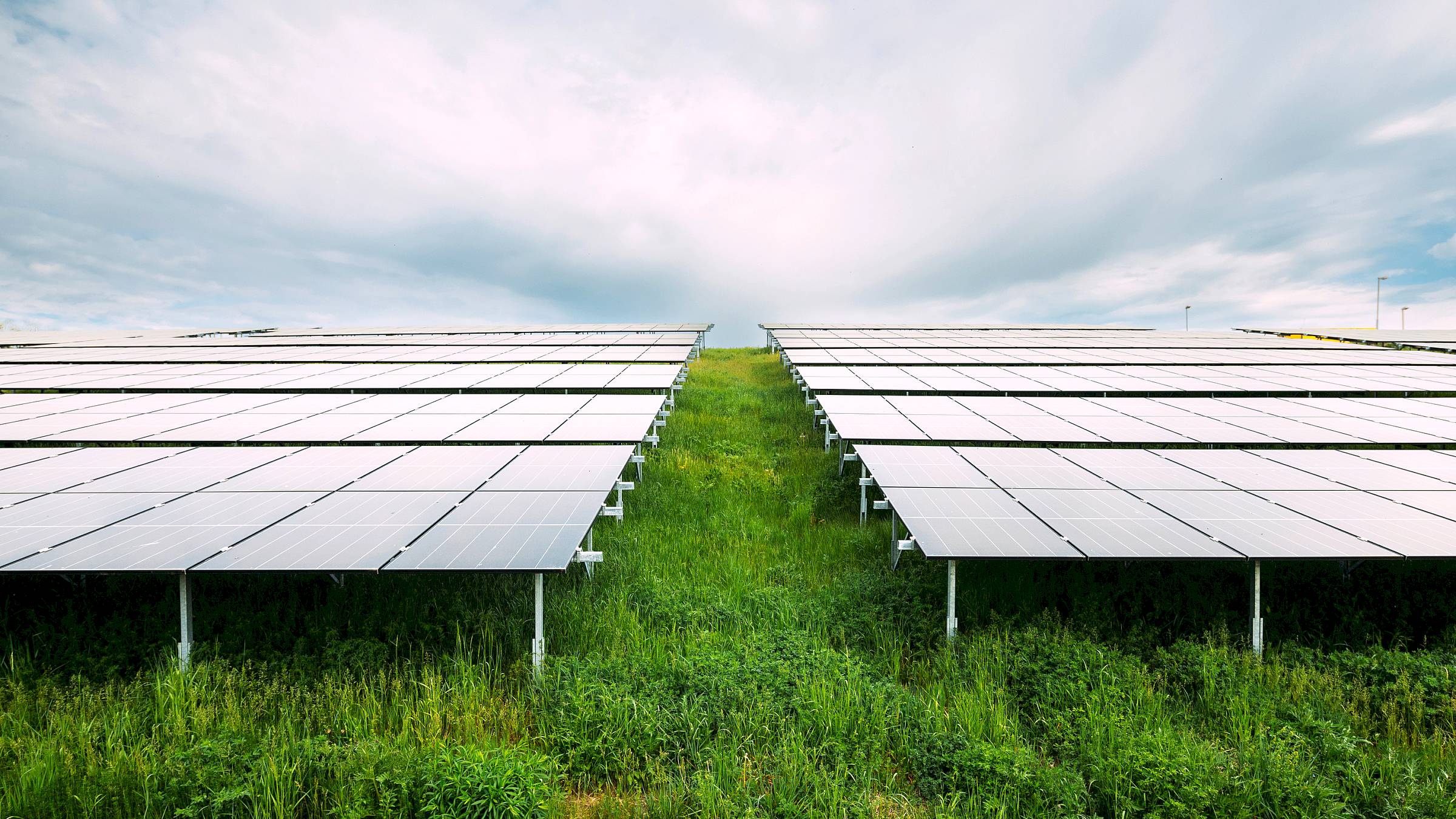 Die Solaranlage kann bis zu 2,05 Megawatt Sonnenenergie in Strom umwandeln. Foto: SachsenEnergie/Oliver Killig