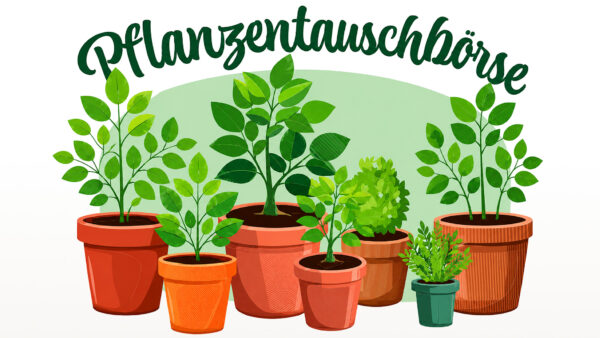 Pflanzentauschbörse beim Kleingärtnerverein Rudolphia