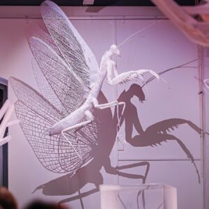 Ausstellung "innuversumm" im Senckenberg-Museum - Foto: Amac Garbe