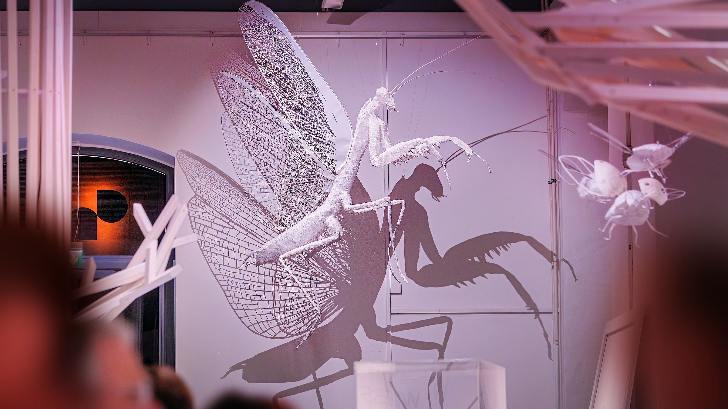 Ausstellung "innuversumm" im Senckenberg-Museum - Foto: Amac Garbe