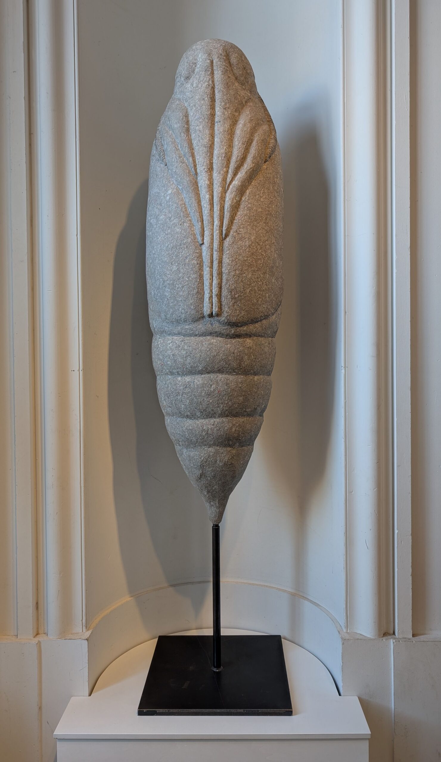 Insekten im Senckenberg-Museum 