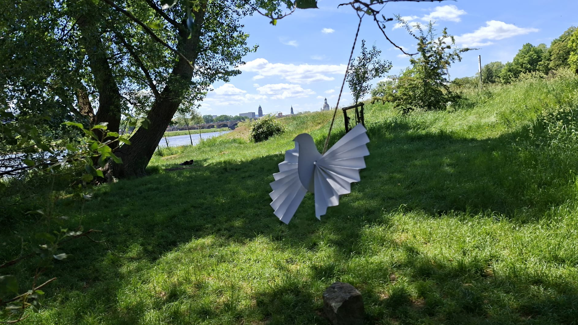 Kleine weiße Friedenstaube - Foto: Jakub Gawlik