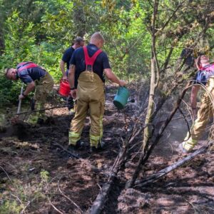 Auch mit Gießkannen wurde gelöscht. Foto: Feuerwehr Dresden