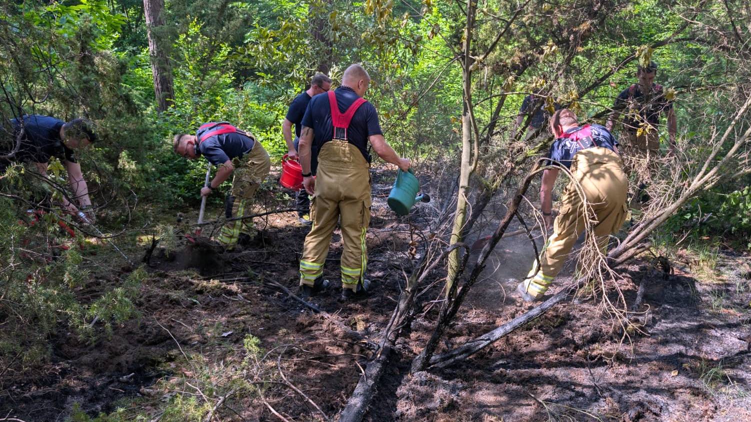 Auch mit Gießkannen wurde gelöscht. Foto: Feuerwehr Dresden