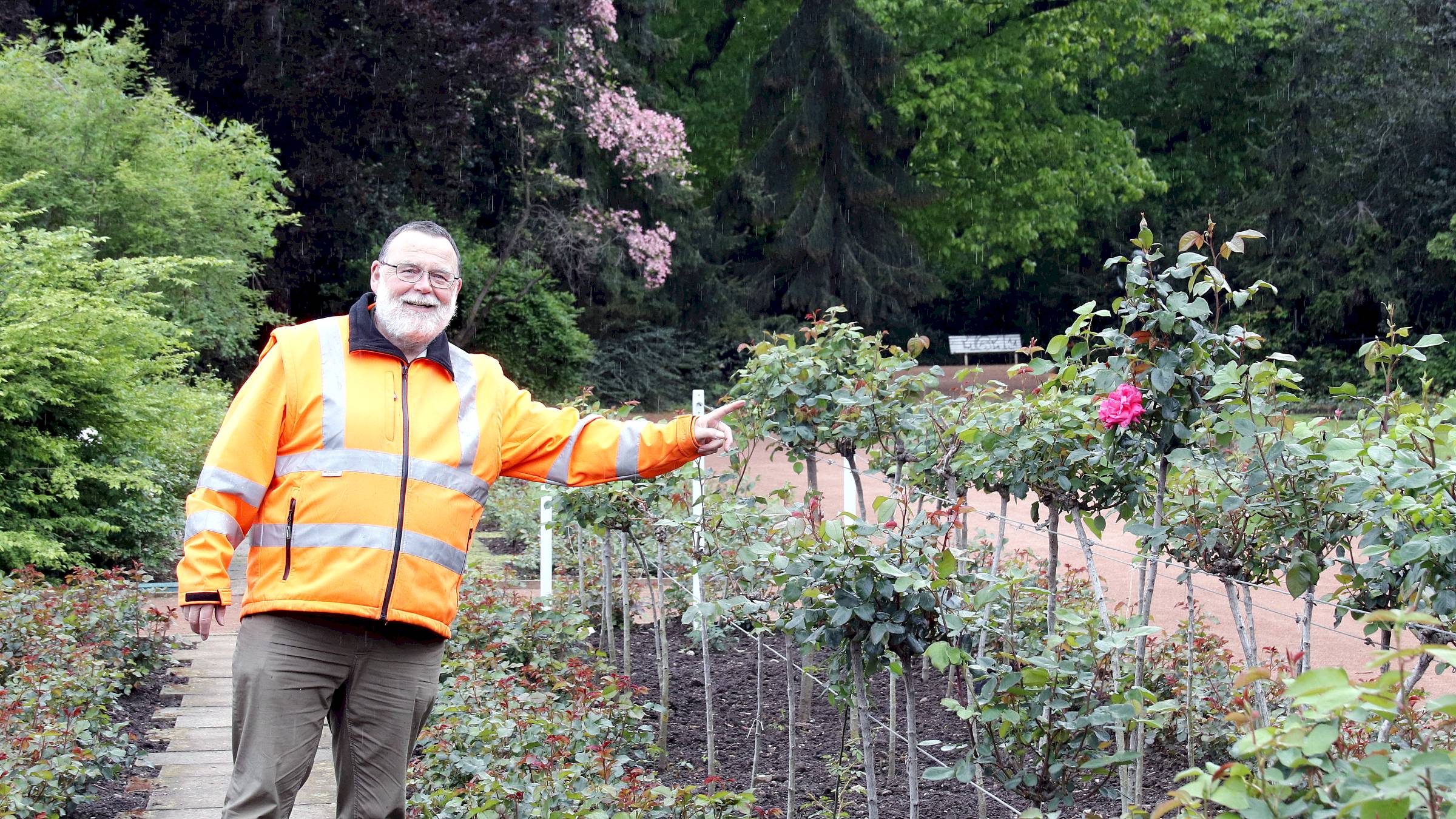 Jens Zappe sorgt mit seinem Team von acht Mitarbeitenden dafür, dass die Rosen blühen und der Garten erhalten bleibt. Foto: Anton Launer