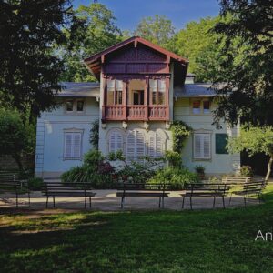 Museumsnacht Dresden: Was die Neustadt zu bieten hat Auch das Kraszewski-Museum an der Nordstraße nimmt an der Museumsnacht teil. Foto: Anton Launer
