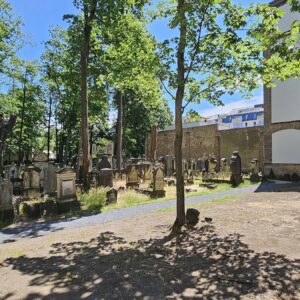 Alter Jüdischer Friedhof an der Pulsnitzer Straße mit neuem Rundweg - Foto: Anton Launer