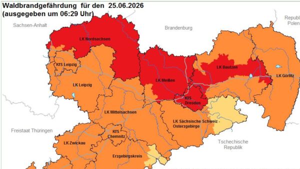 Aktuell gilt Waldbrandwarnstufe 4 - für Sonntag wird mit Stufe 5 gerechnet.