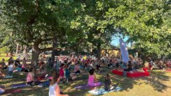 Palais Sommer veranstaltet auf dem Alaunplatz "Yoga im Park" - Foto: PR/Palais Sommer