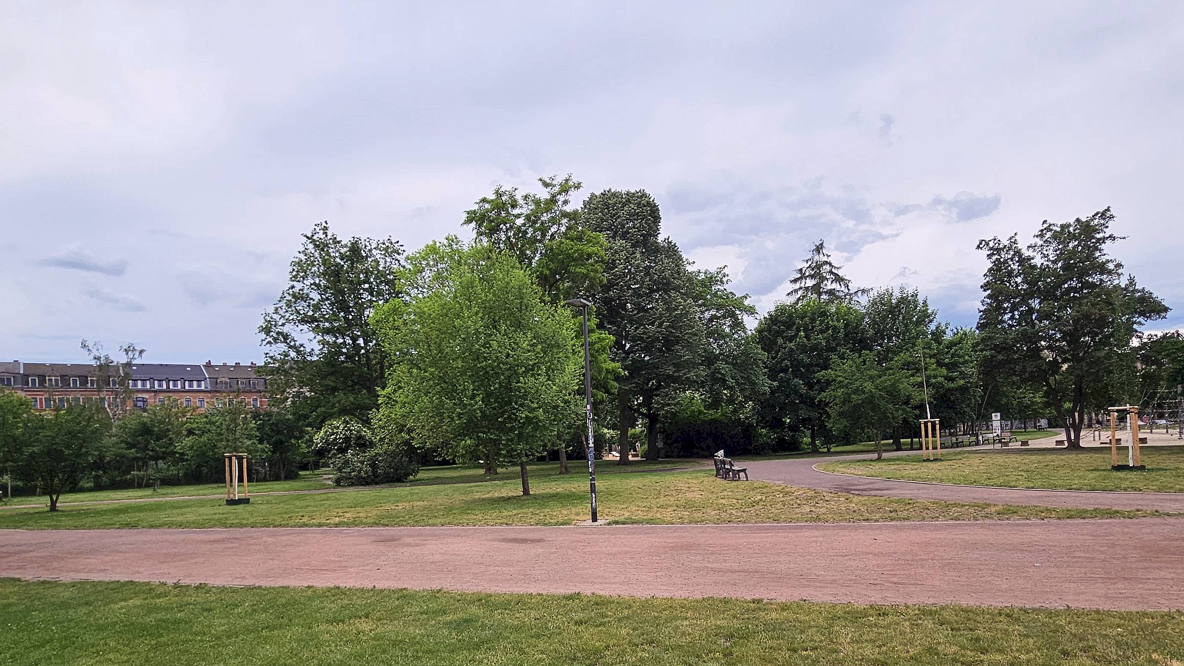 Bäume auf dem Alaunplatz - Foto: Archiv Anton Launer