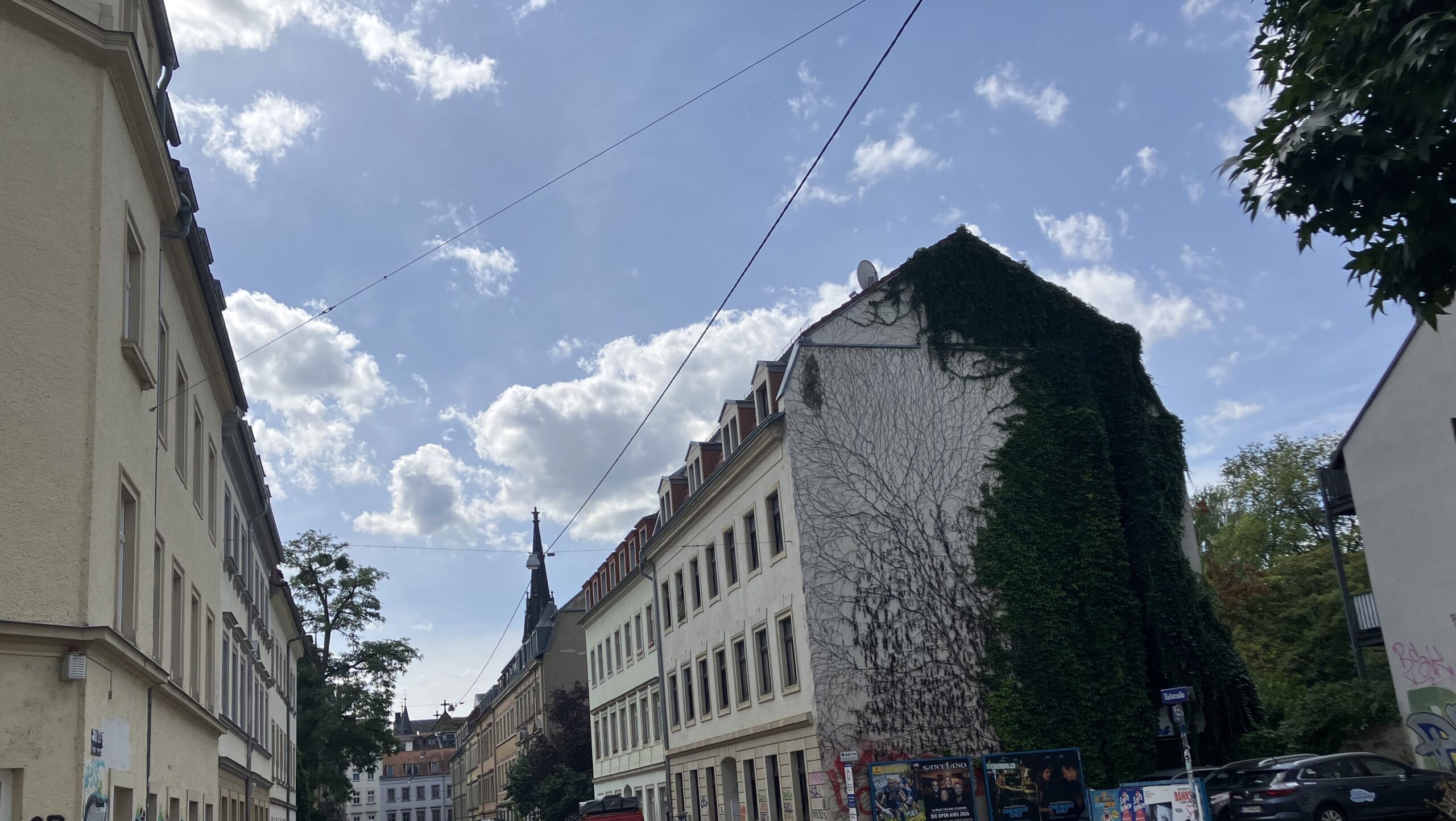 Efeuranken Talstraße, Blick von der Schönfelder - Foto: Maris Beck