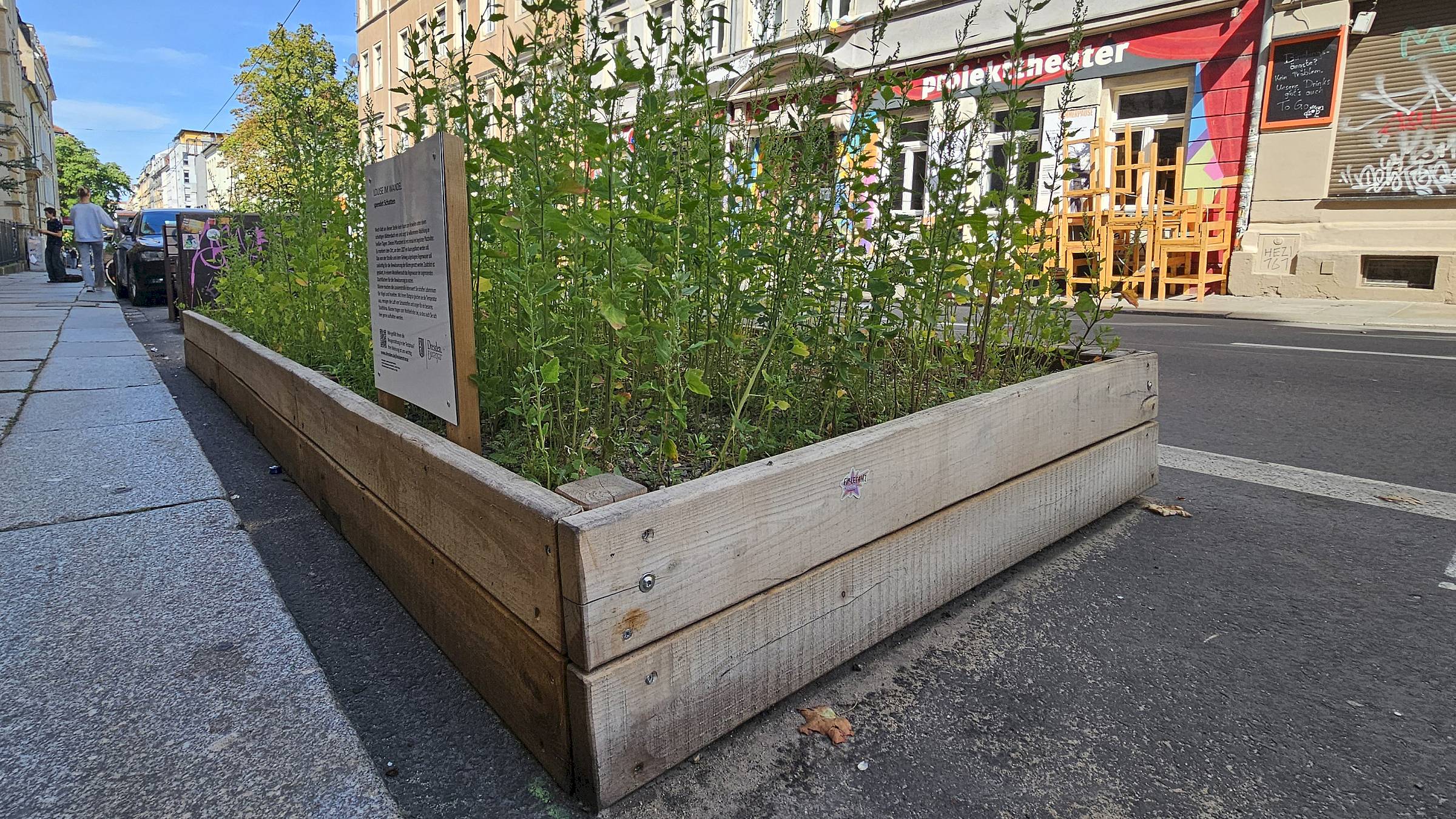 Wilder Pflanzenbewuchs. Die hölzernen Flachbeete markieren die künftigen Baumstandorte - Foto: Anton Launer