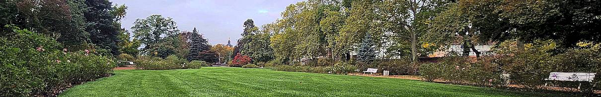 Neustadt-Geflüster